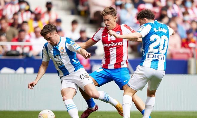 逐步替换购 逐步替换购